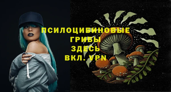 СК Аркадак