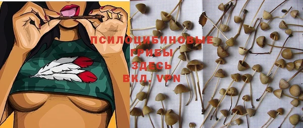 не бодяженный Богородицк